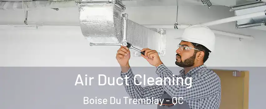 Air Duct Cleaning Boise Du Tremblay - QC