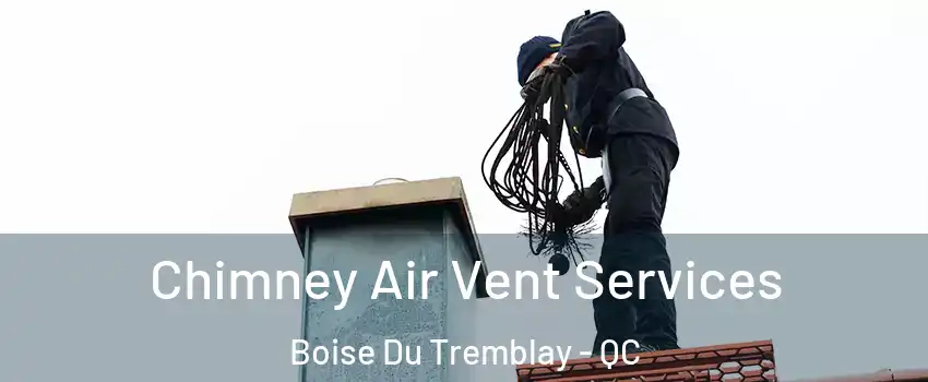  Chimney Air Vent Services Boise Du Tremblay - QC