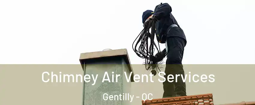  Chimney Air Vent Services Gentilly - QC