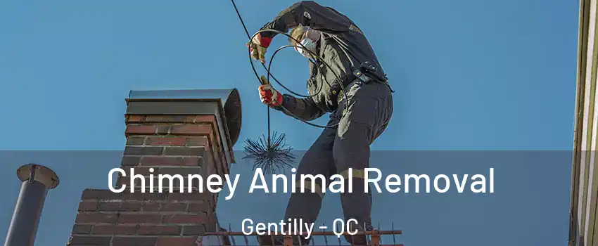Chimney Animal Removal Gentilly - QC
