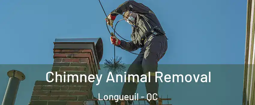  Chimney Animal Removal Longueuil - QC
