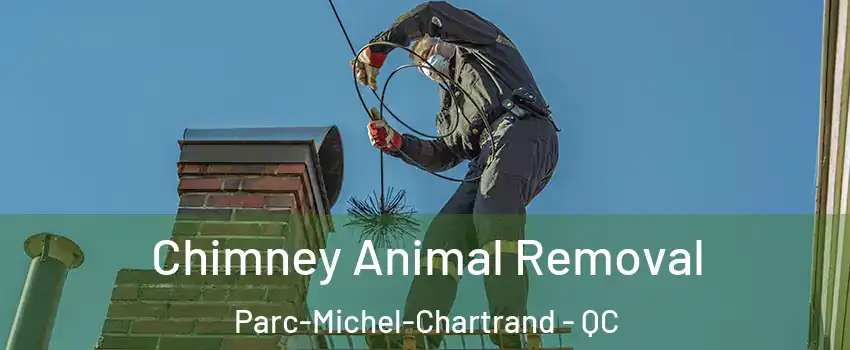 Chimney Animal Removal Parc-Michel-Chartrand - QC