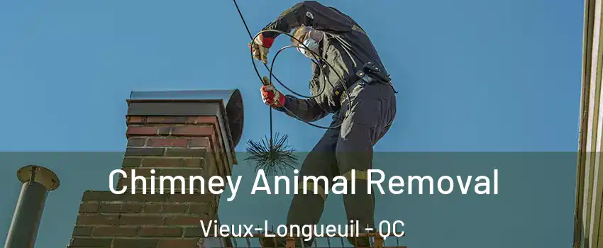 Chimney Animal Removal Vieux-Longueuil - QC