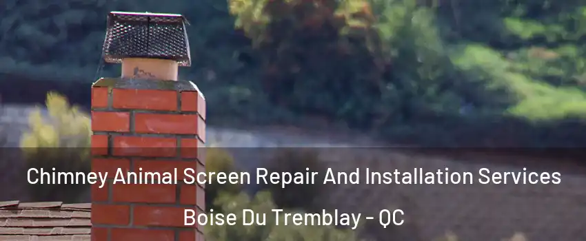  Chimney Animal Screen Repair And Installation Services Boise Du Tremblay - QC