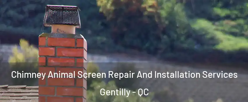 Chimney Animal Screen Repair And Installation Services Gentilly - QC