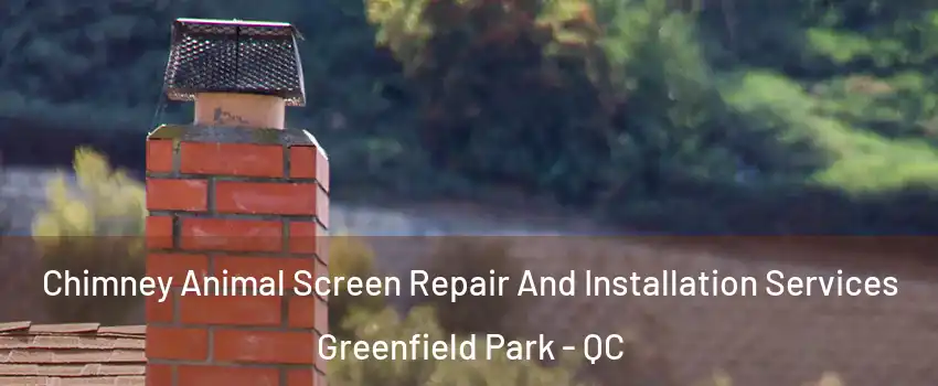  Chimney Animal Screen Repair And Installation Services Greenfield Park - QC
