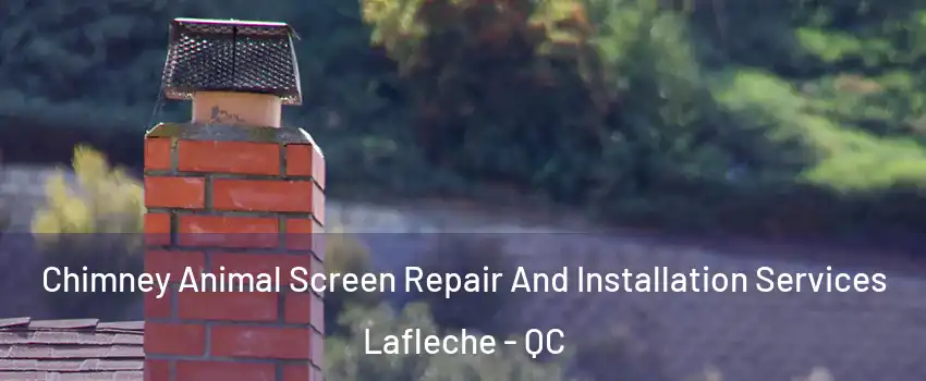  Chimney Animal Screen Repair And Installation Services Lafleche - QC