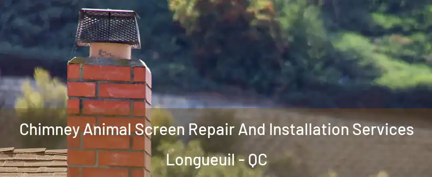  Chimney Animal Screen Repair And Installation Services Longueuil - QC