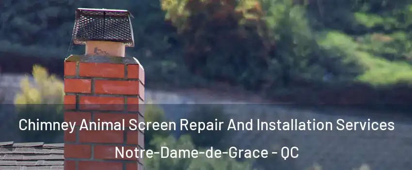  Chimney Animal Screen Repair And Installation Services Notre-Dame-de-Grace - QC