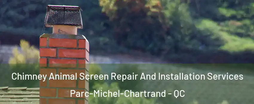  Chimney Animal Screen Repair And Installation Services Parc-Michel-Chartrand - QC