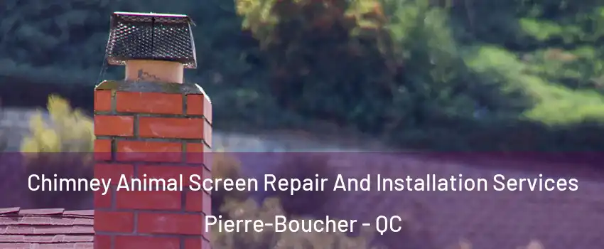  Chimney Animal Screen Repair And Installation Services Pierre-Boucher - QC