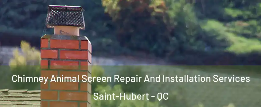  Chimney Animal Screen Repair And Installation Services Saint-Hubert - QC
