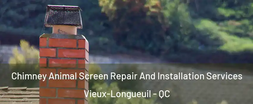  Chimney Animal Screen Repair And Installation Services Vieux-Longueuil - QC