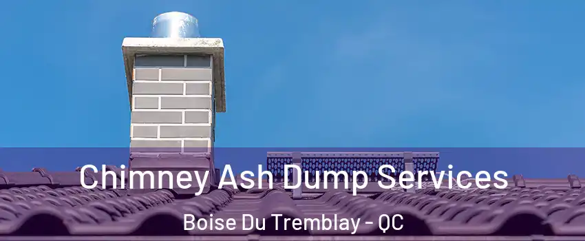  Chimney Ash Dump Services Boise Du Tremblay - QC