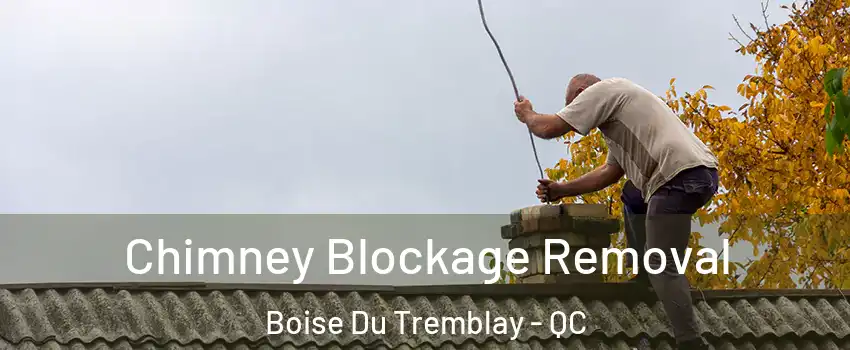  Chimney Blockage Removal Boise Du Tremblay - QC
