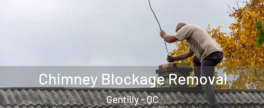  Chimney Blockage Removal Gentilly - QC