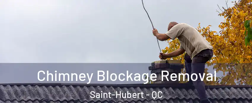  Chimney Blockage Removal Saint-Hubert - QC