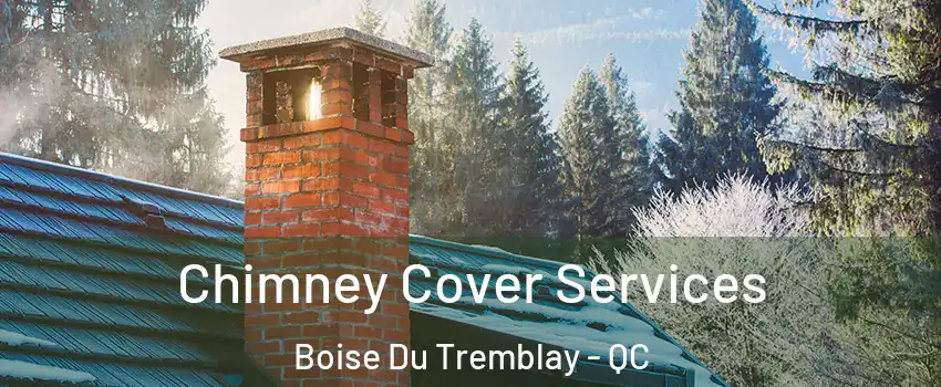  Chimney Cover Services Boise Du Tremblay - QC