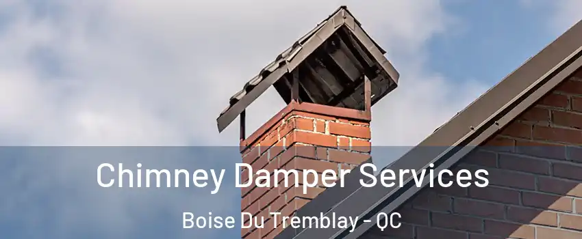  Chimney Damper Services Boise Du Tremblay - QC