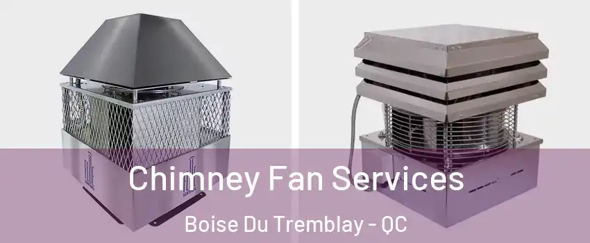  Chimney Fan Services Boise Du Tremblay - QC