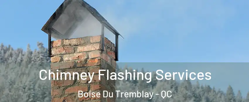 Chimney Flashing Services Boise Du Tremblay - QC
