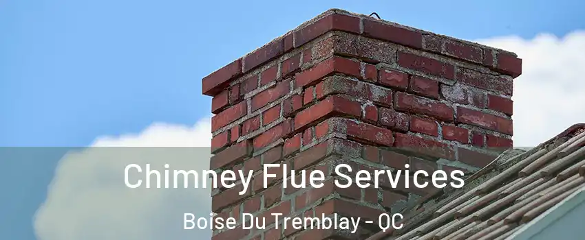  Chimney Flue Services Boise Du Tremblay - QC