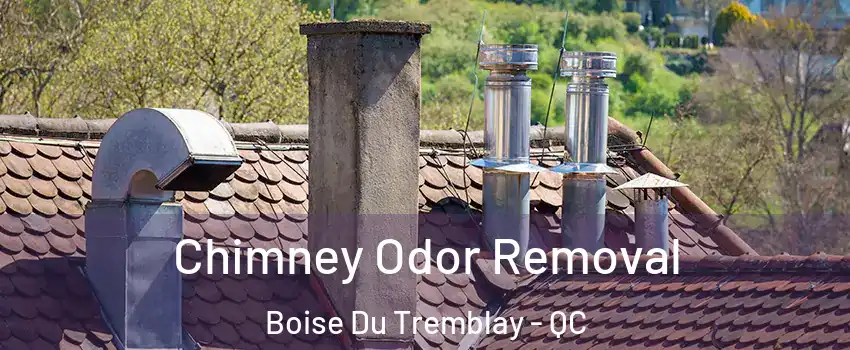  Chimney Odor Removal Boise Du Tremblay - QC