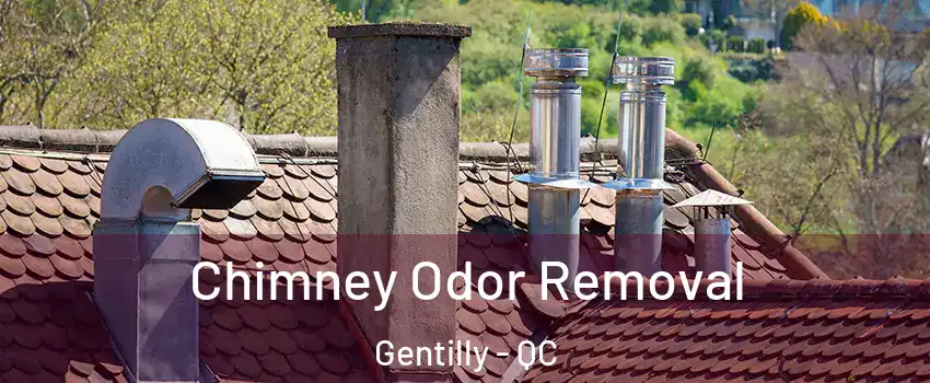  Chimney Odor Removal Gentilly - QC