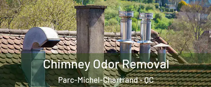  Chimney Odor Removal Parc-Michel-Chartrand - QC
