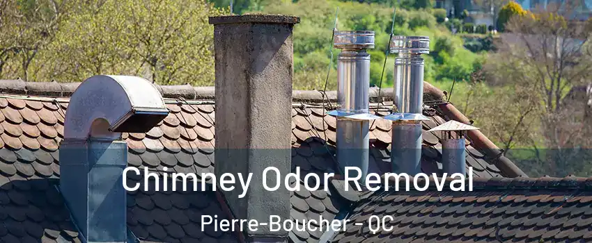  Chimney Odor Removal Pierre-Boucher - QC