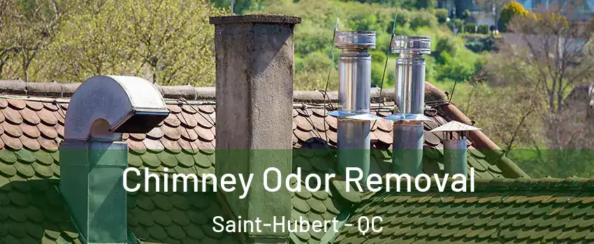  Chimney Odor Removal Saint-Hubert - QC