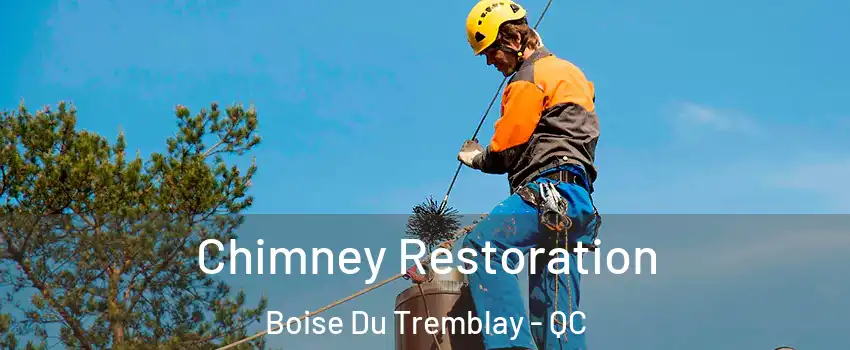  Chimney Restoration Boise Du Tremblay - QC