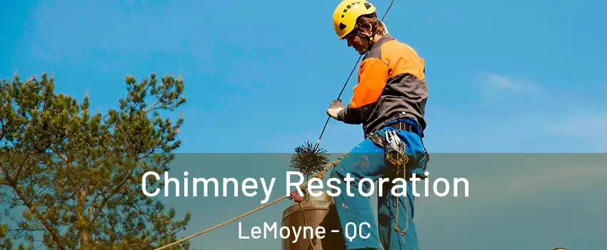  Chimney Restoration LeMoyne - QC