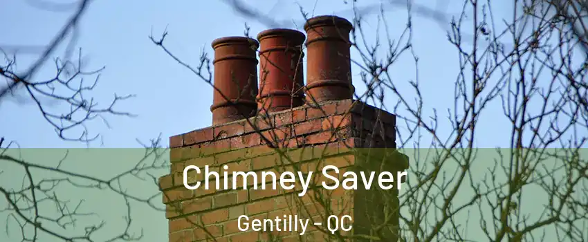  Chimney Saver Gentilly - QC