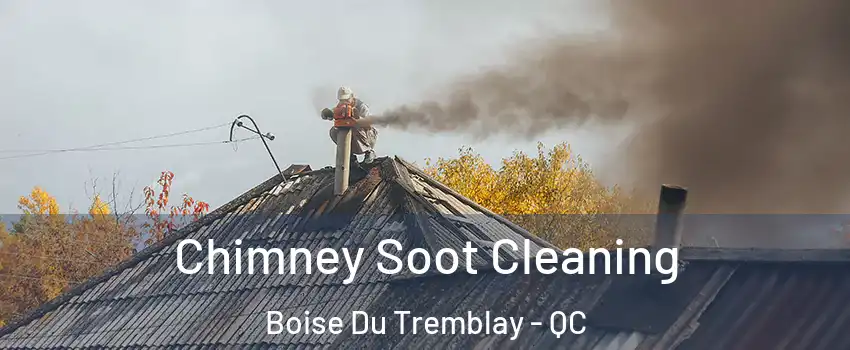  Chimney Soot Cleaning Boise Du Tremblay - QC