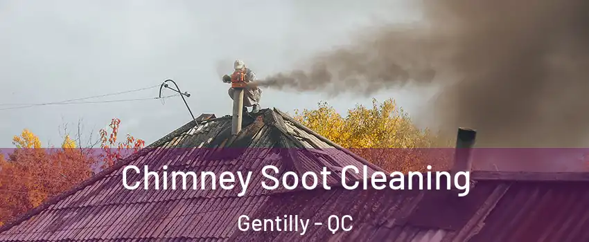  Chimney Soot Cleaning Gentilly - QC