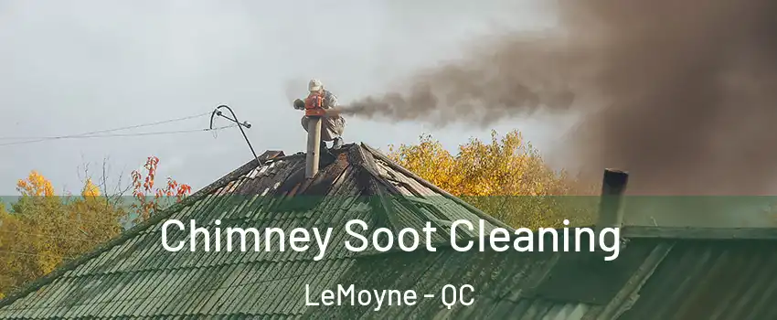  Chimney Soot Cleaning LeMoyne - QC