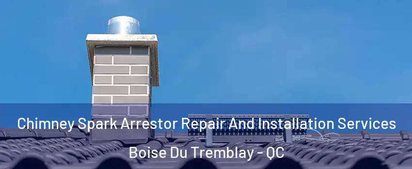  Chimney Spark Arrestor Repair And Installation Services Boise Du Tremblay - QC