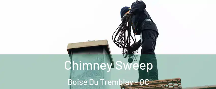  Chimney Sweep Boise Du Tremblay - QC