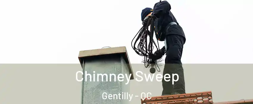  Chimney Sweep Gentilly - QC