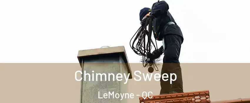  Chimney Sweep LeMoyne - QC