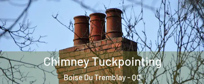  Chimney Tuckpointing Boise Du Tremblay - QC