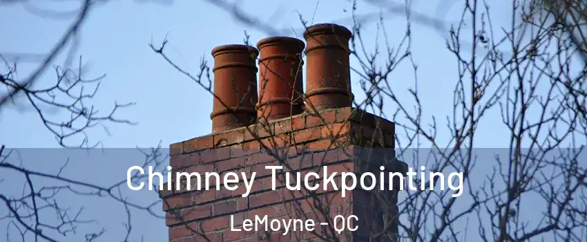  Chimney Tuckpointing LeMoyne - QC