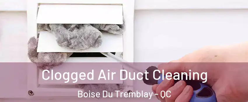  Clogged Air Duct Cleaning Boise Du Tremblay - QC