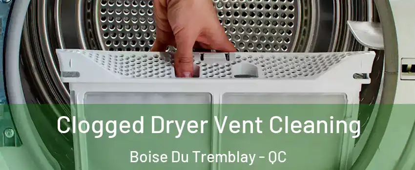  Clogged Dryer Vent Cleaning Boise Du Tremblay - QC