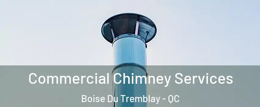  Commercial Chimney Services Boise Du Tremblay - QC