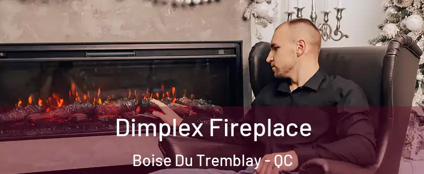  Dimplex Fireplace Boise Du Tremblay - QC