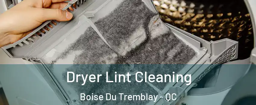  Dryer Lint Cleaning Boise Du Tremblay - QC