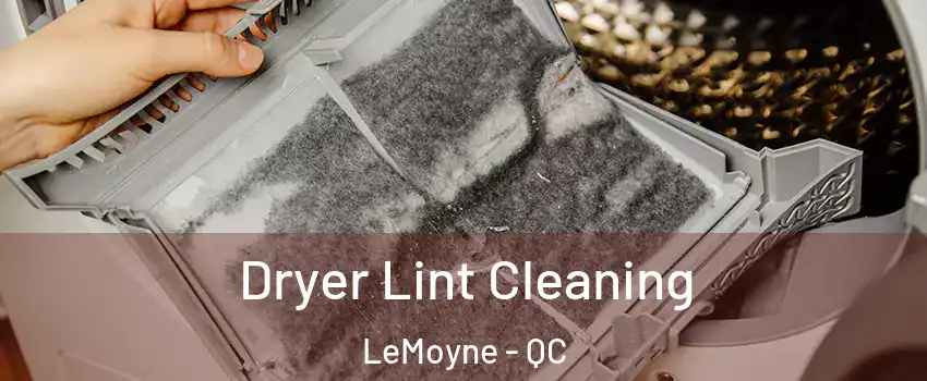  Dryer Lint Cleaning LeMoyne - QC