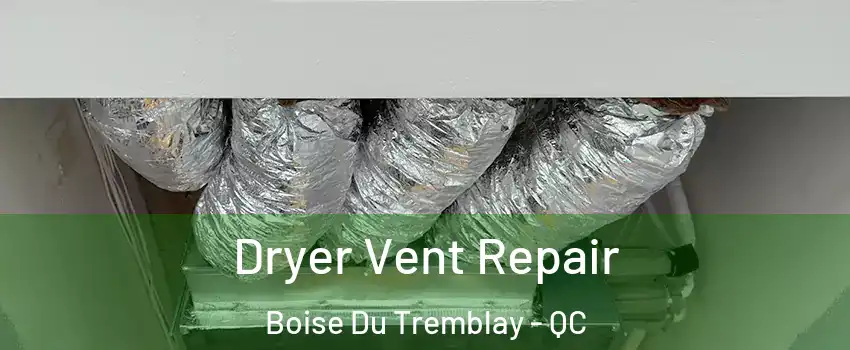  Dryer Vent Repair Boise Du Tremblay - QC
